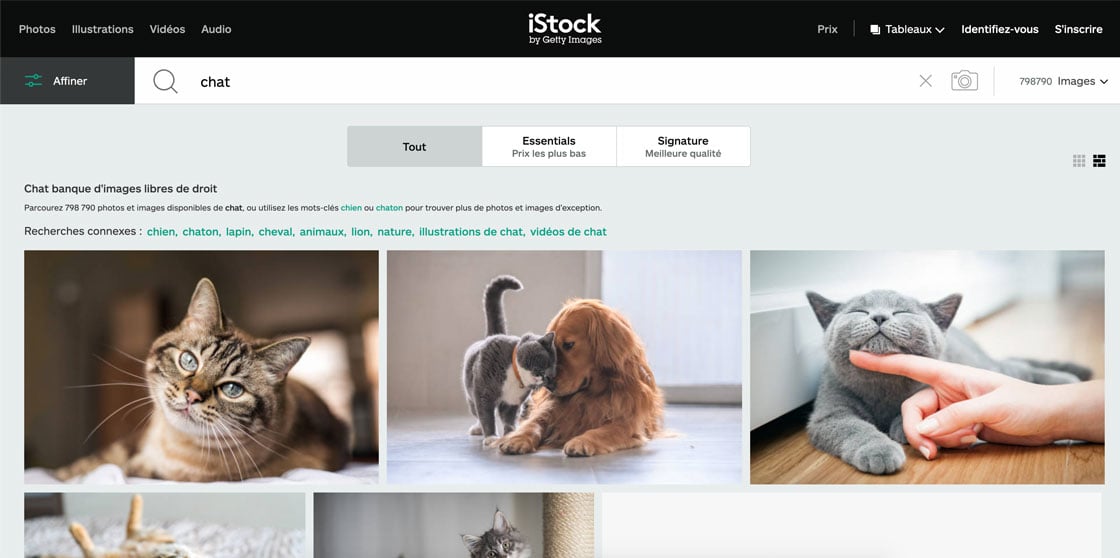 iStock by Getty Images