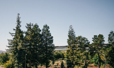 l'Apple Park