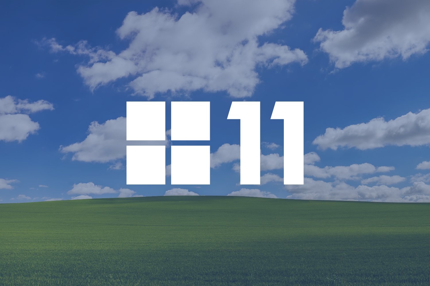 Windows 11