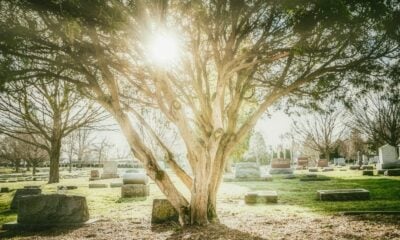 Deuil hommage cimetiere mort