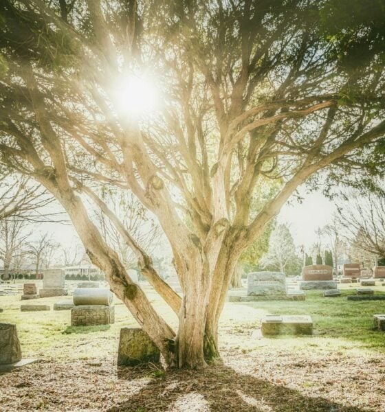 Deuil hommage cimetiere mort