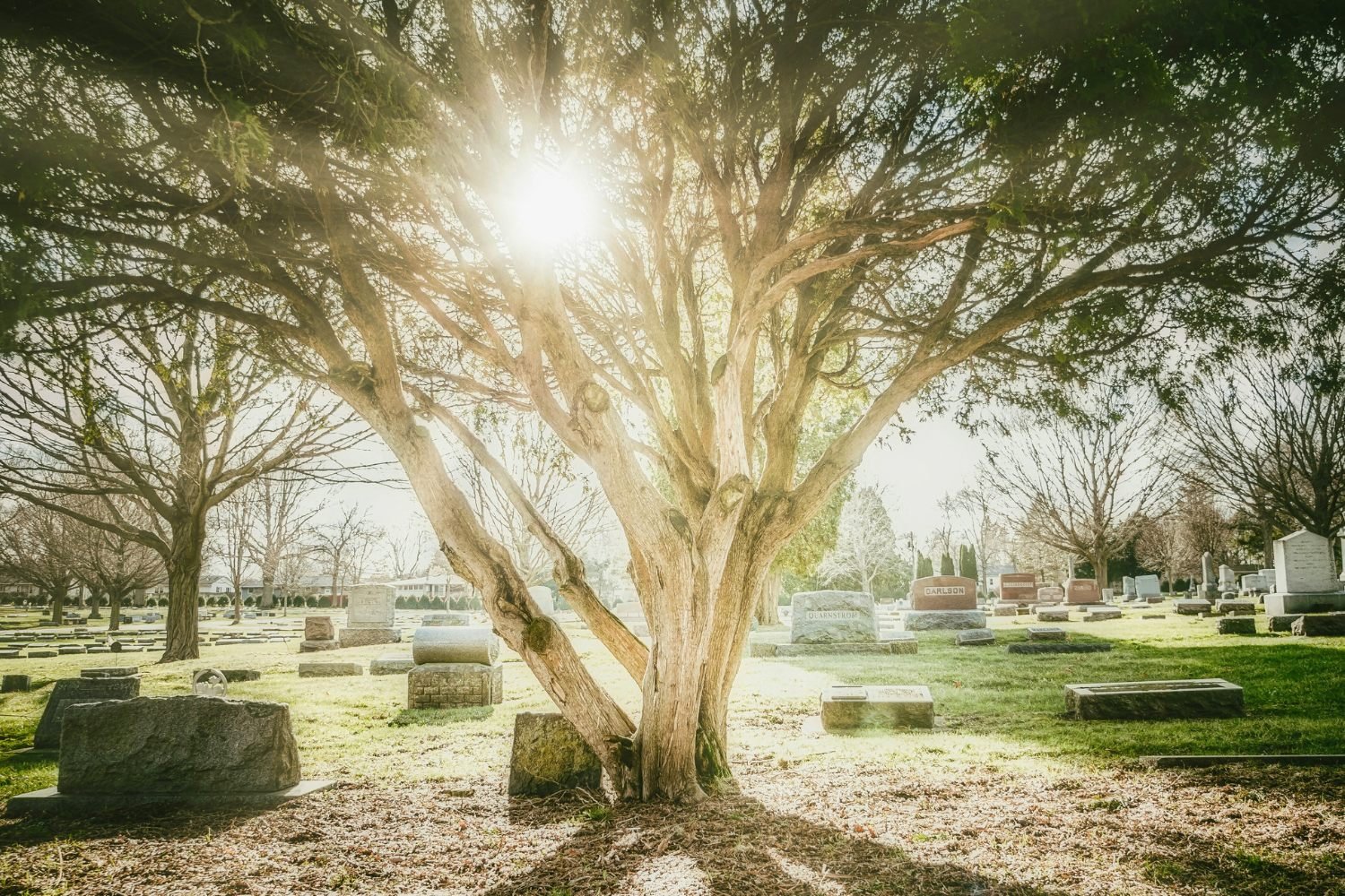 Deuil hommage cimetiere mort