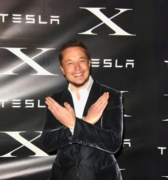 Elon musk x tesla