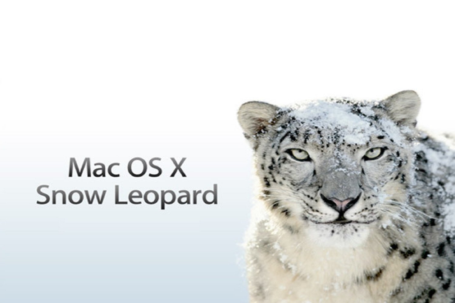 Mac OS X Snow Leopard