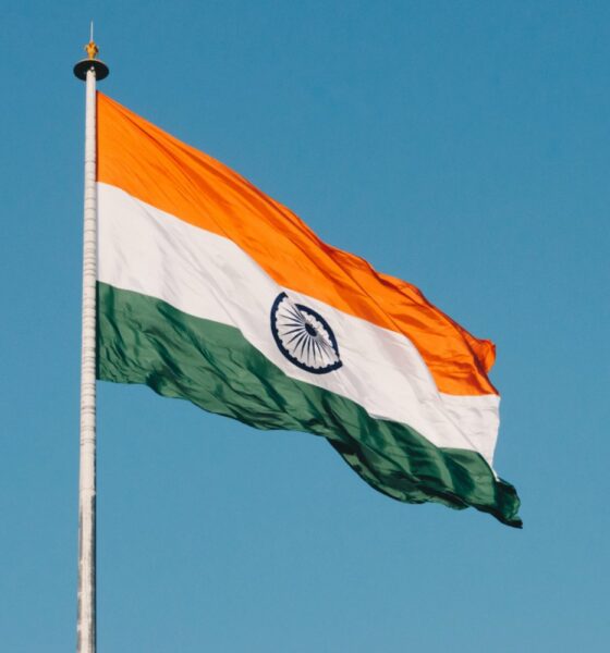 Inde drapeau