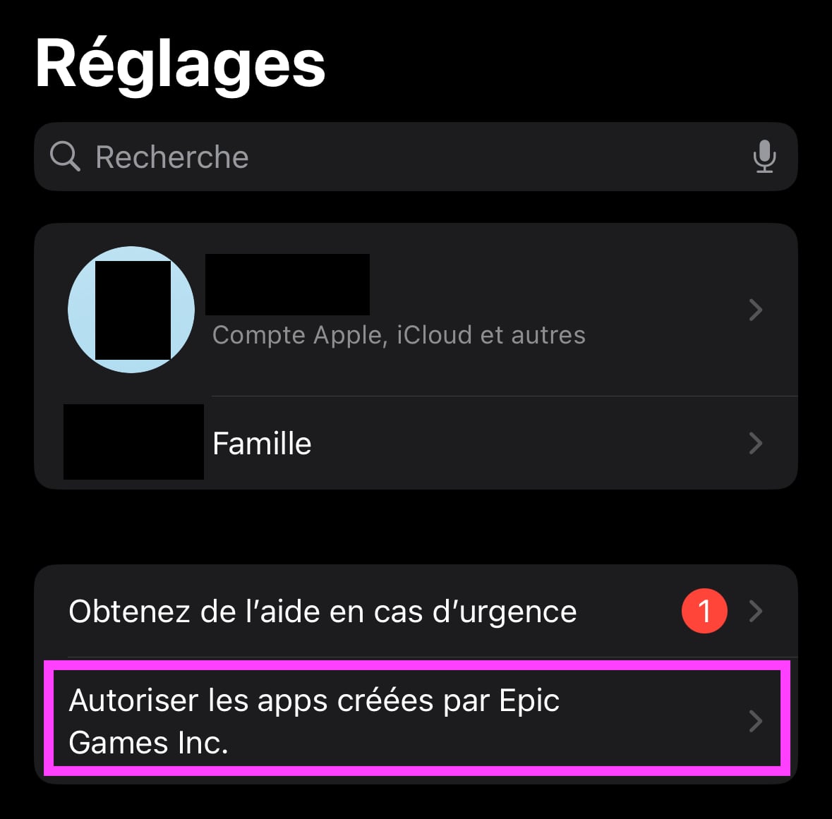 Réglages Epic Games Store