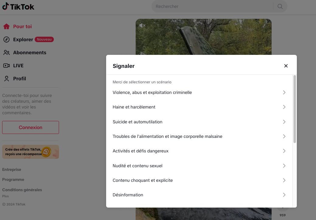 TikTok signalement web raison