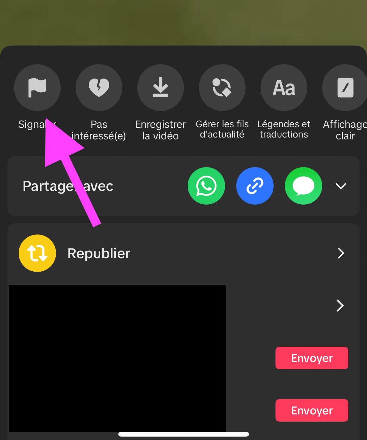 TikTok signaler iPhone