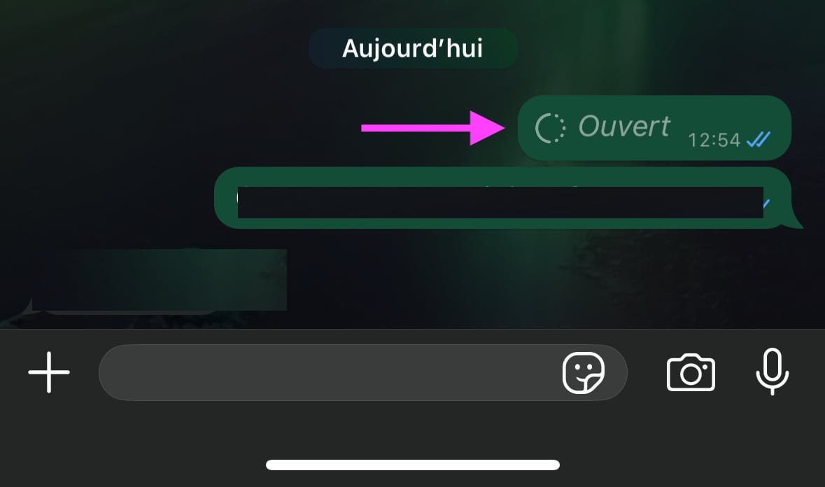 WhatsApp vue unique