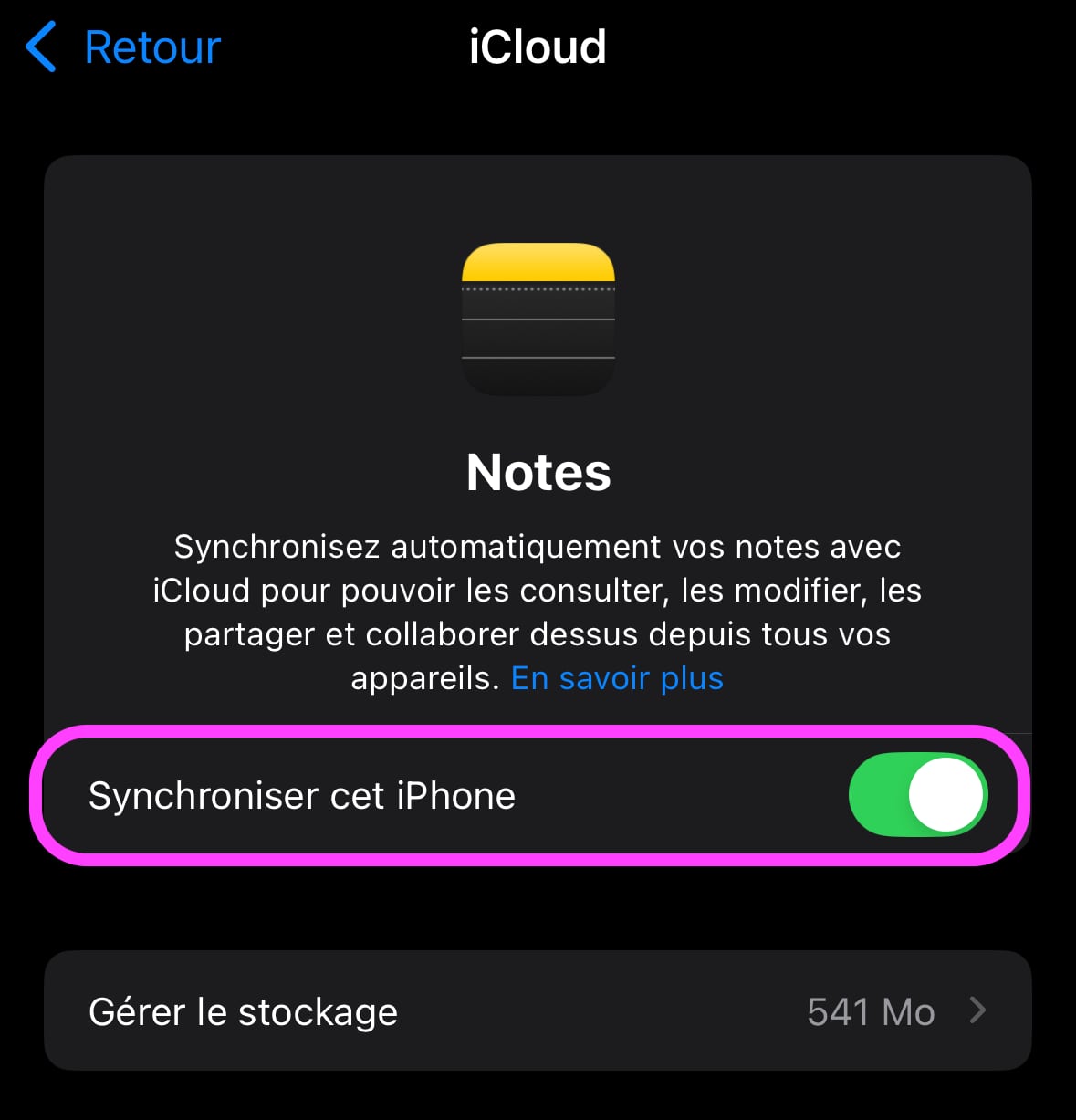 Apple Notes réglages