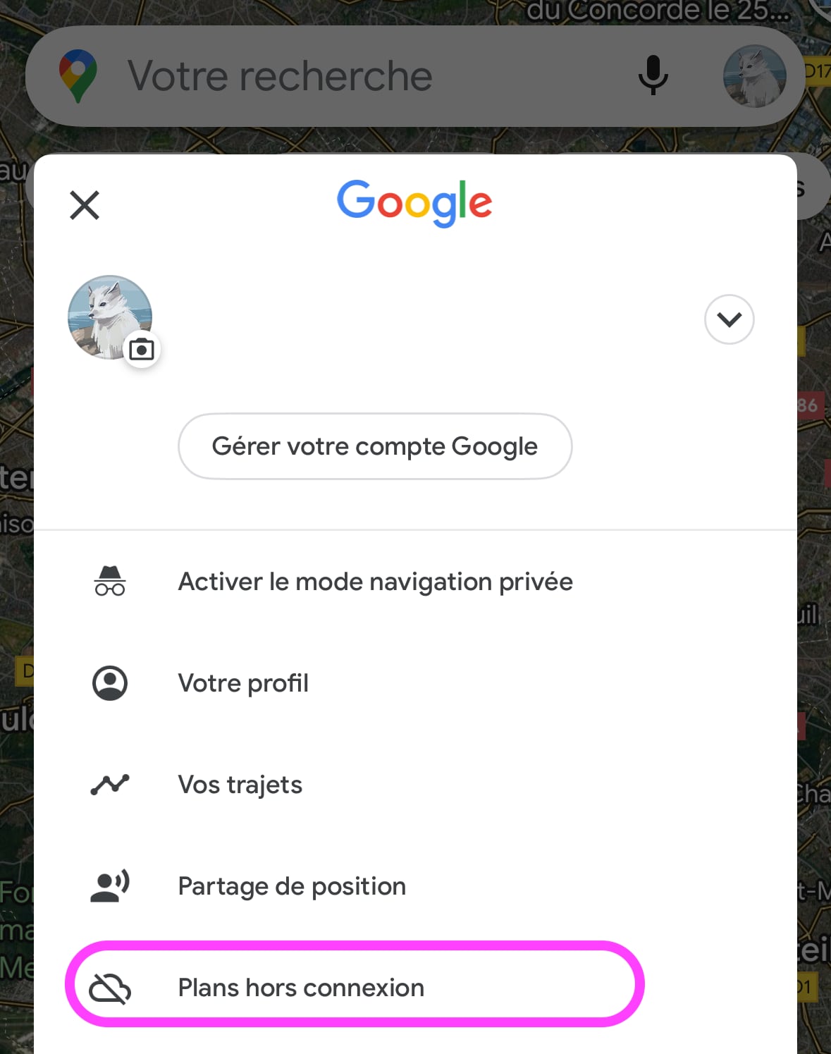 Google Maps plans hors ligne